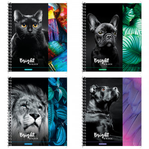 Тетрадь 80л А5 клетка ArtSpace Животные. Bright&black 26757